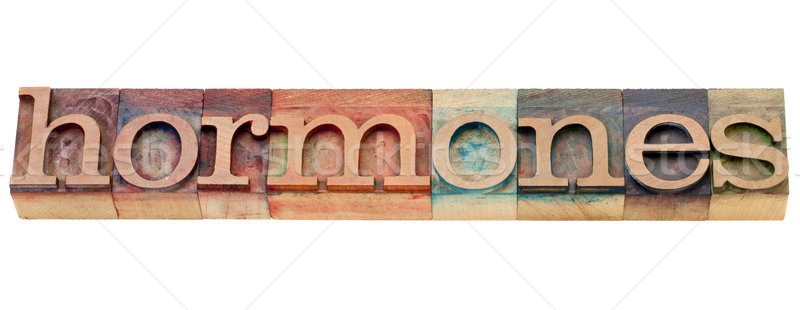 Stock photo: hormones word in letterpress type
