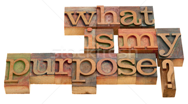 Stock photo: what is my purpose