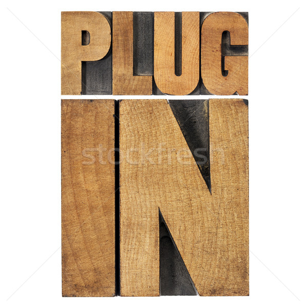 plugin (plug-in) in wood type Stock photo © PixelsAway