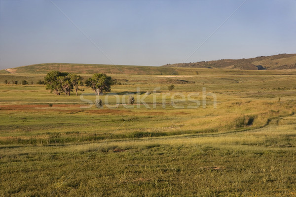 irrigated meadow at Colorado foothills Stock photo © PixelsAway