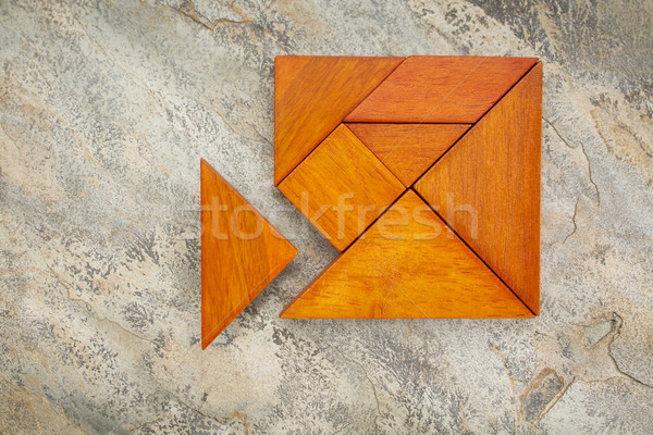 misfit concept with tangram Stock photo © PixelsAway