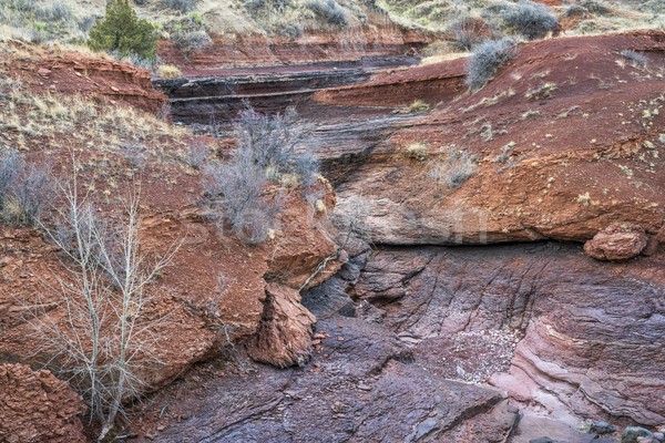 dry creek at Colorado foothills in springtime Stock photo © PixelsAway