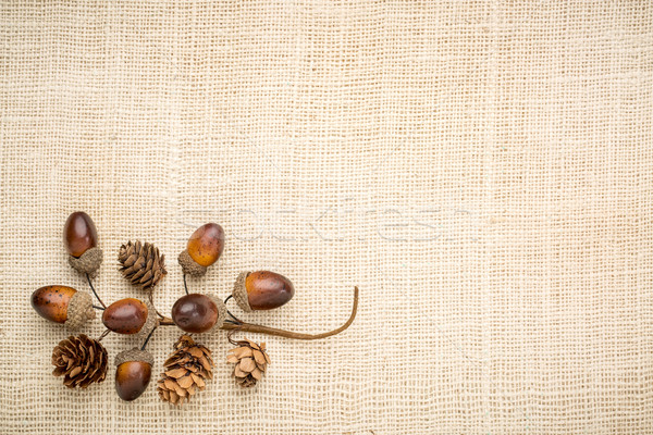 rustic grained wood with fall decoration Stock photo © PixelsAway