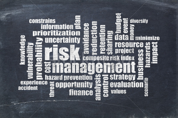 risk management word cloud Stock photo © PixelsAway