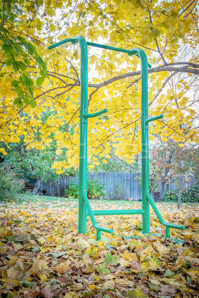 outdoor fitness tower in a backyard Stock photo © PixelsAway