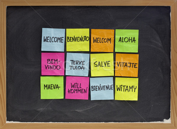 welcome in a dozen of languages Stock photo © PixelsAway