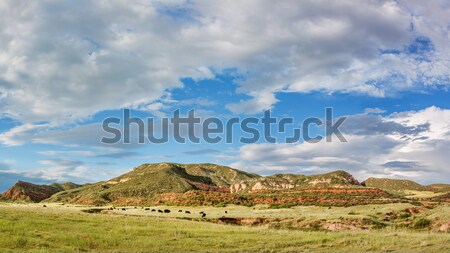 Red Mountain Open Space panorama Stock photo © PixelsAway