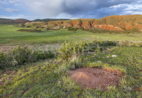 Colorado mountain ranch  Stock photo © PixelsAway