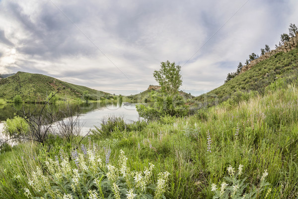 Rezervuar bahar yeşil manzara Colorado balıkgözü Stok fotoğraf © PixelsAway