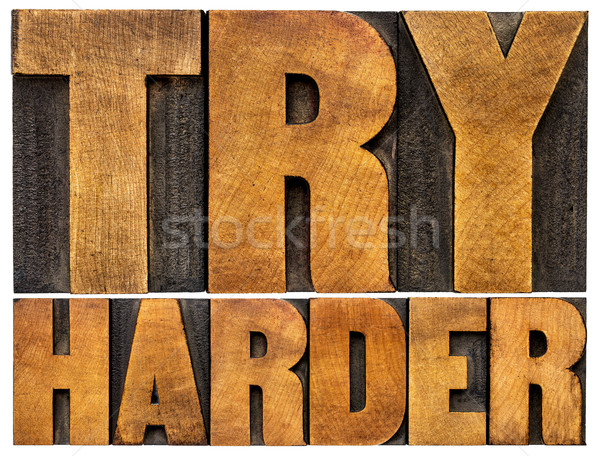 try harder motivational advice Stock photo © PixelsAway