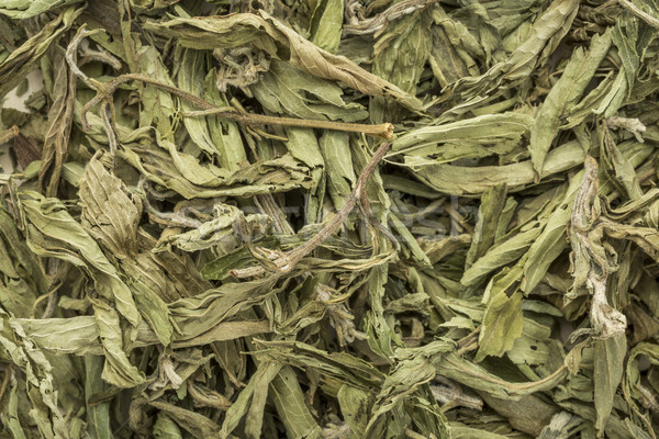 Séché laisse naturelles édulcorant sucre usine Photo stock © PixelsAway