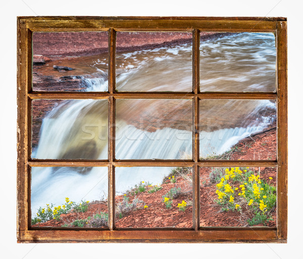 waterfall with wildflowers window view Stock photo © PixelsAway