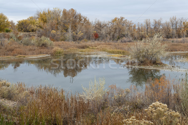 gravel pit into natural area Stock photo © PixelsAway