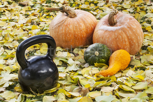 iron kettlebell and pumpkin Stock photo © PixelsAway