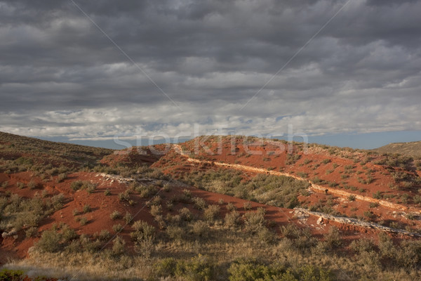 desert hilly landscape under stormy sky Stock photo © PixelsAway