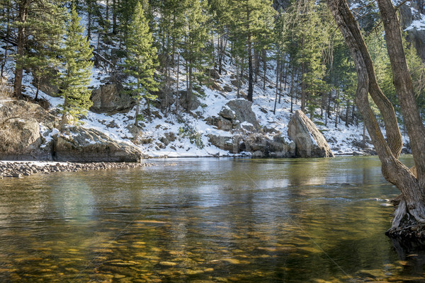 Poudre River sunny winter day Stock photo © PixelsAway