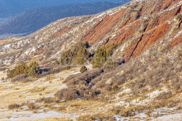 Rood zandsteen noordelijk Colorado lagen rock Stockfoto © PixelsAway