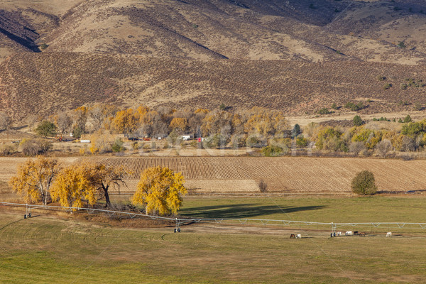 Ackerland Colorado Berge Festung fallen Landschaft Stock foto © PixelsAway