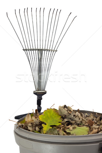 trash bin, dry leaves and rake Stock photo © PixelsAway