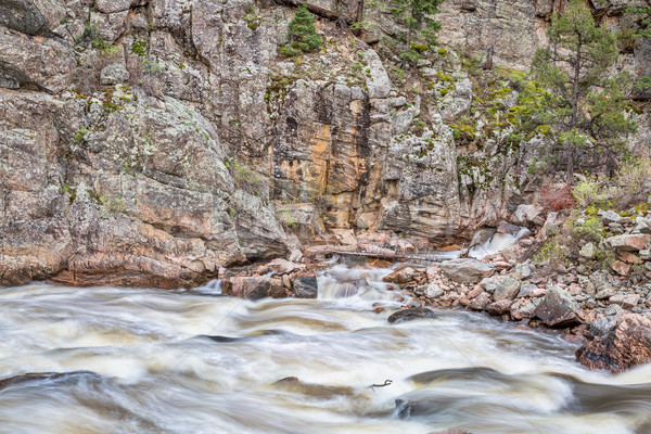 Poudre Canyon and River in Rocky Mountains Stock photo © PixelsAway