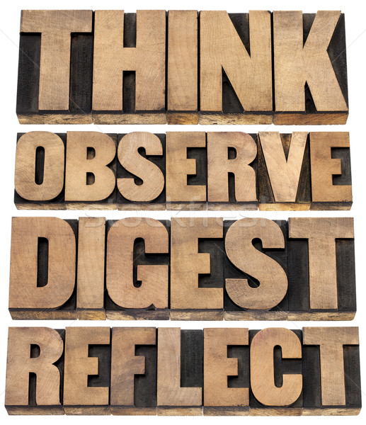 think, observe, digest, reflect Stock photo © PixelsAway