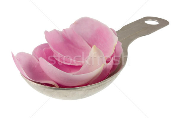 pink rose petals on measuring tablespoon Stock photo © PixelsAway