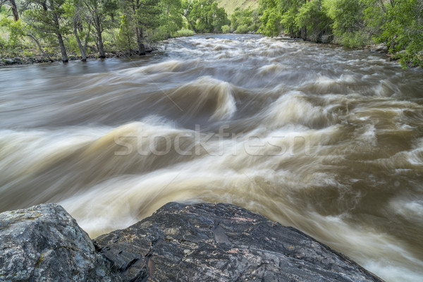 spring runoff of Poudre River in Colorado Stock photo © PixelsAway