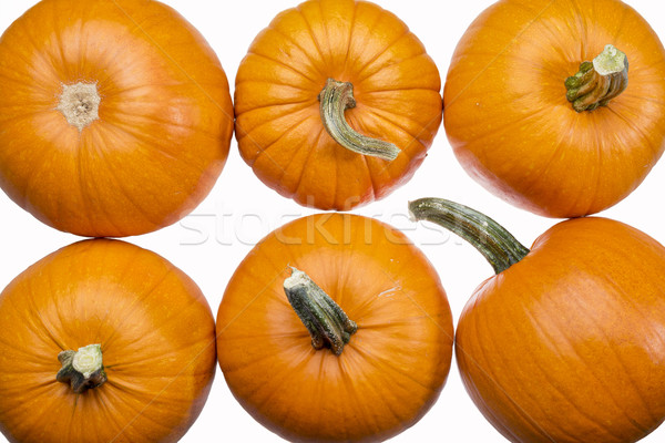 Zes pompoenen witte top halloween Stockfoto © PixelsAway