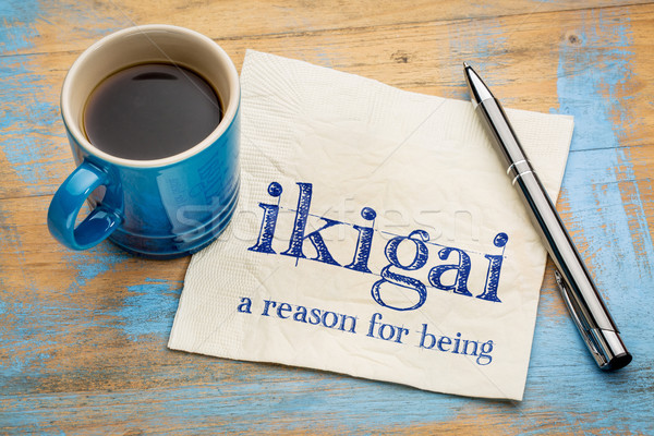 ikigai - a reason for being Stock photo © PixelsAway
