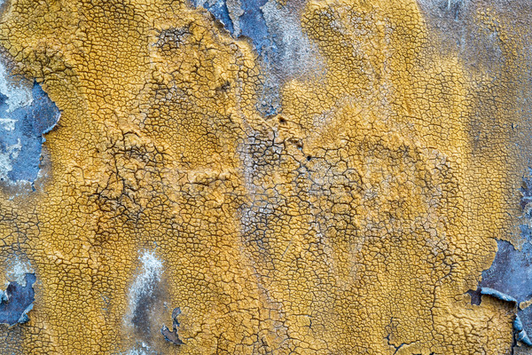 lichen on metal tank texture Stock photo © PixelsAway