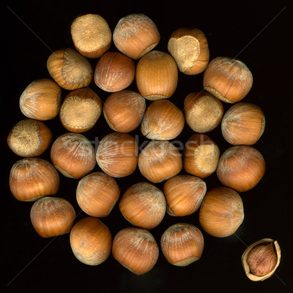 hazelnuts in shells on black Stock photo © PixelsAway