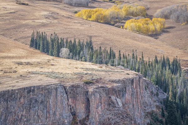 aspen, spruce  and sandstone cliff Stock photo © PixelsAway