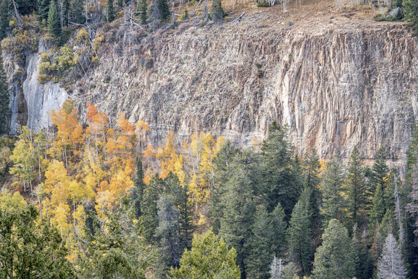 aspen, spruce  and sandstone cliff Stock photo © PixelsAway