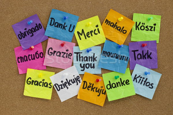 Dank u verschillend talen zestien kleurrijk sticky notes Stockfoto © PixelsAway