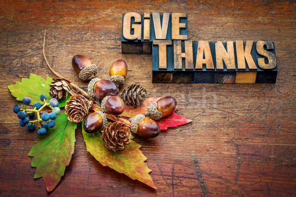 give thanks - Thanksgiving concept  Stock photo © PixelsAway