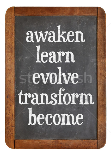 awaken, learn, evolve on blackboard Stock photo © PixelsAway