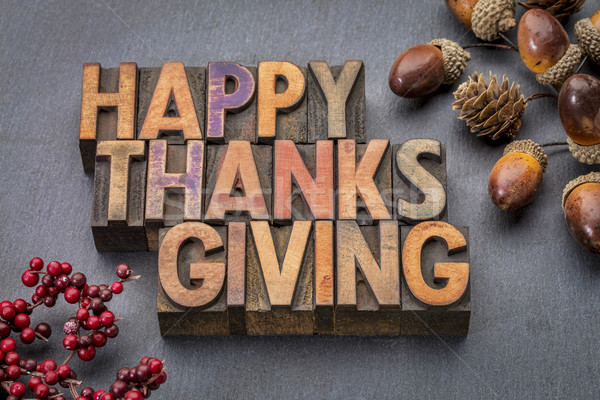 Happy Thanksgiving in wood type Stock photo © PixelsAway