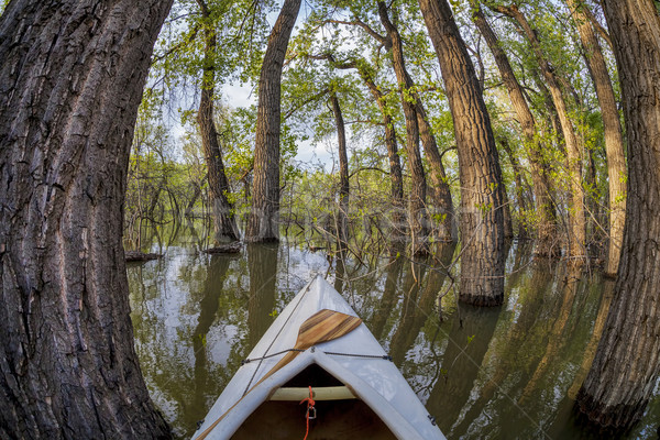 Magic lasu łodzi łuk jezioro drzew Zdjęcia stock © PixelsAway