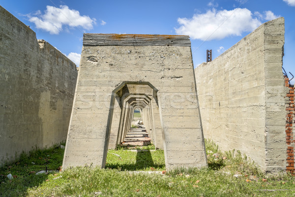 Ruinas planta concretas uno cinco reducción Foto stock © PixelsAway