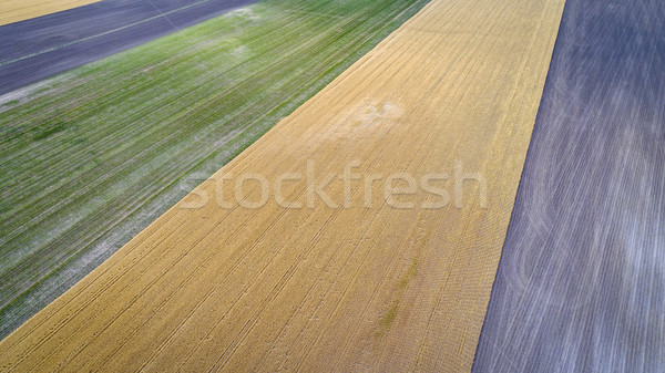 Streszczenie widok z lotu ptaka wiejski pszenicy kukurydza pola Zdjęcia stock © PixelsAway