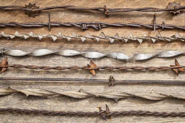 vintage barbed wire collection Stock photo © PixelsAway