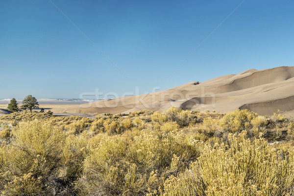 Great Sand Dunes National Park Stock photo © PixelsAway