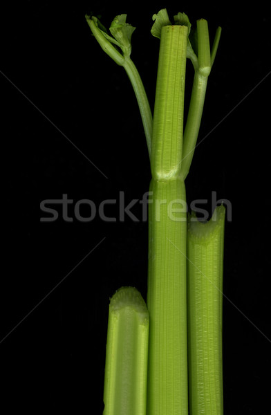 Celery stalks on black background Stock photo © PixelsAway