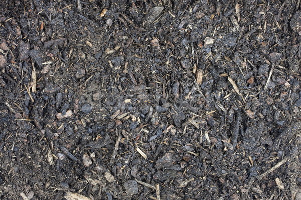 Jardín húmedo pequeño madera chips corteza Foto stock © PixelsAway