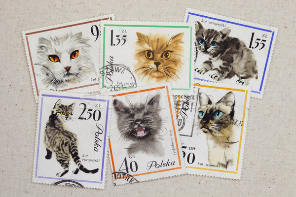 cats - set of vintage post stamps from Poland Stock photo © PixelsAway