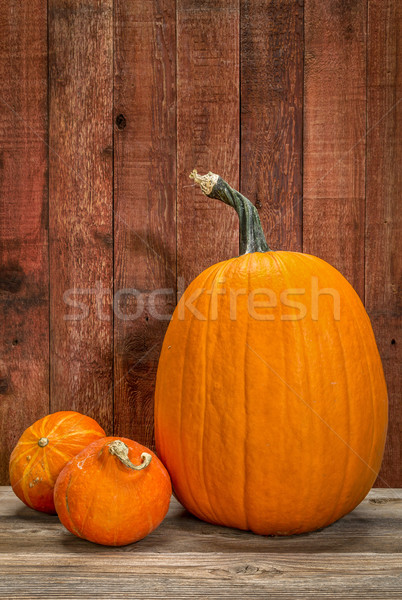 pumpkin and winter squash Stock photo © PixelsAway