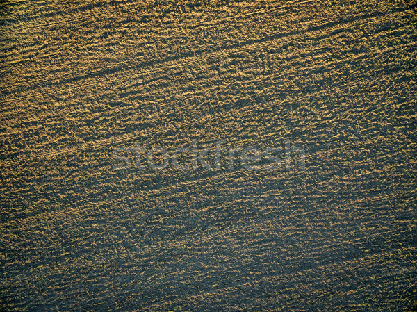 plowed field aerial view Stock photo © PixelsAway