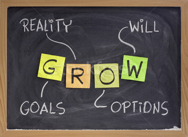 Ziele Wirklichkeit Optionen wachsen Leben Coaching Stock foto © PixelsAway