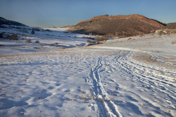 winter trail in Colorado Rocky Mountains Stock photo © PixelsAway
