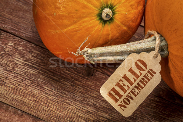 pumpkin with Hello November tag Stock photo © PixelsAway